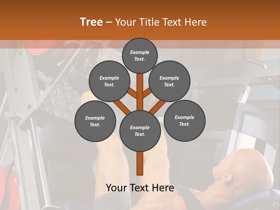 Body Abdomen Leg PowerPoint Template