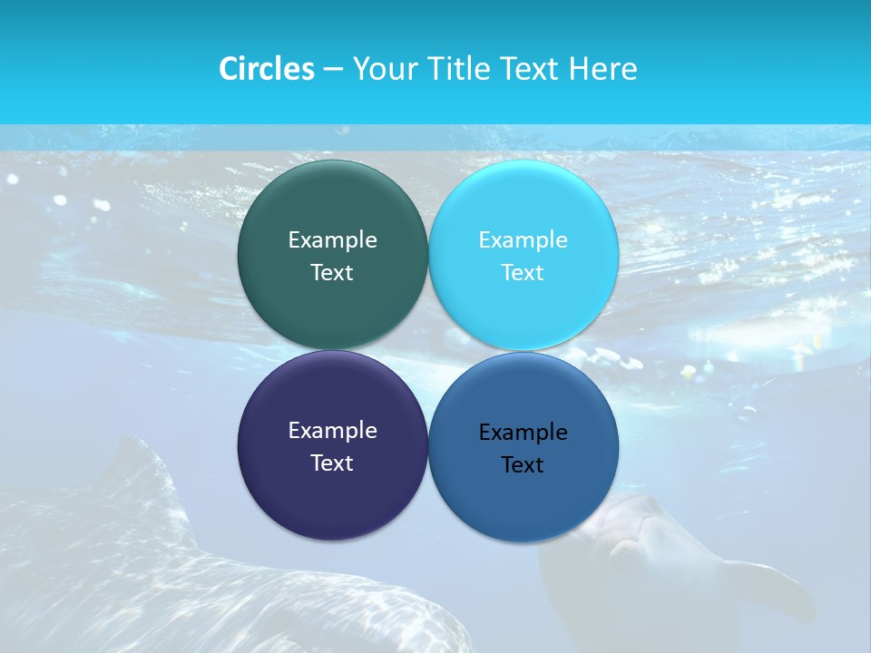 Sunshine Aquatic Blue PowerPoint Template