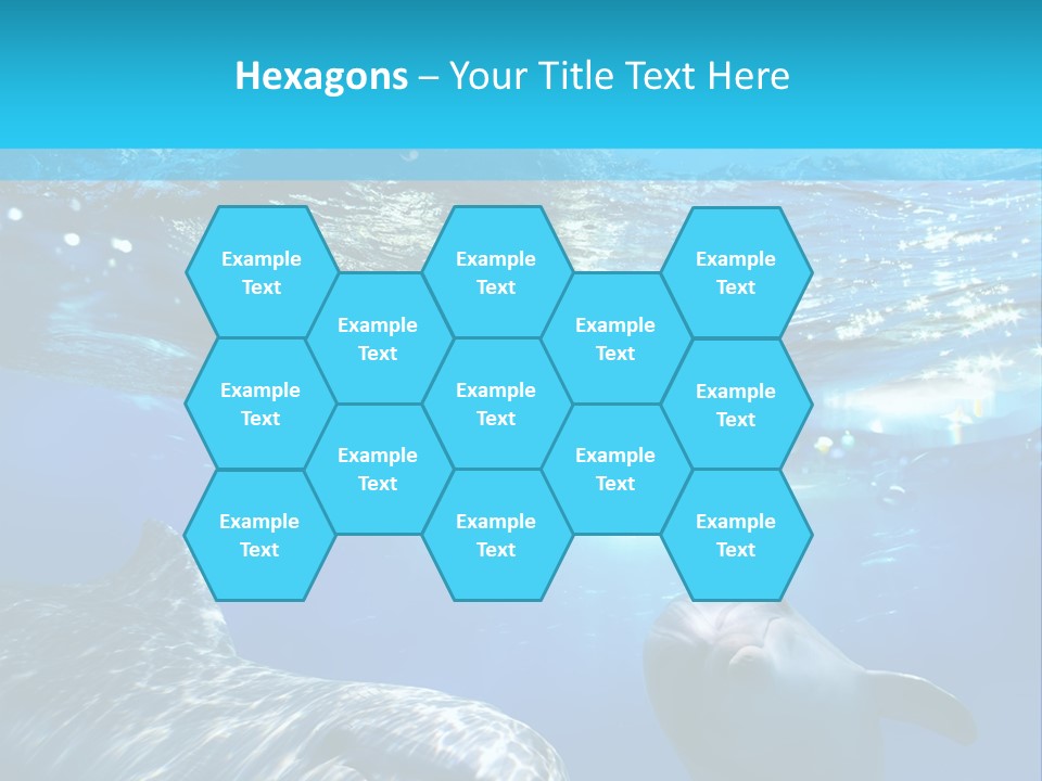 Sunshine Aquatic Blue PowerPoint Template