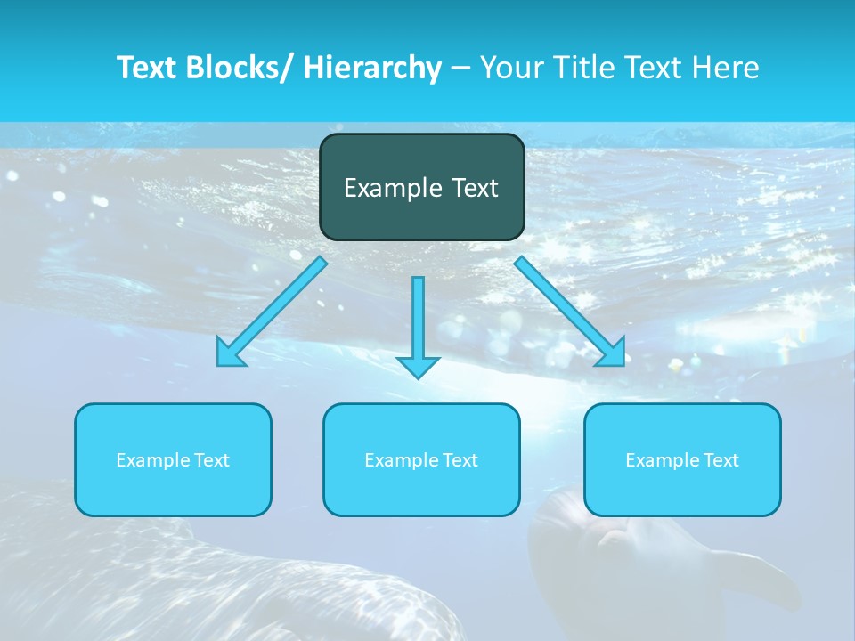 Sunshine Aquatic Blue PowerPoint Template