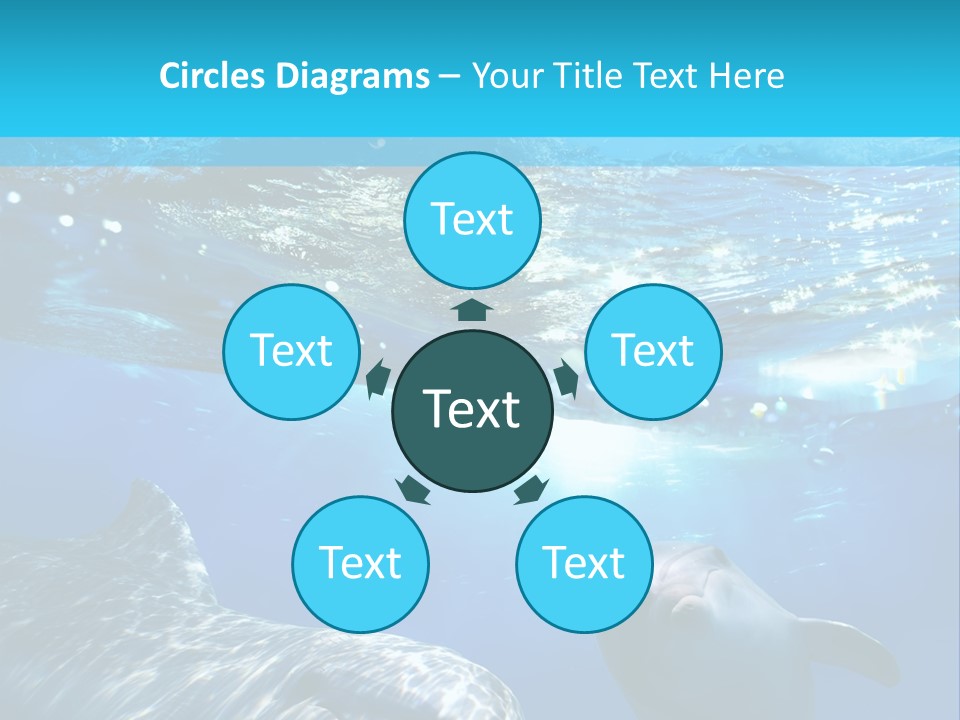 Sunshine Aquatic Blue PowerPoint Template