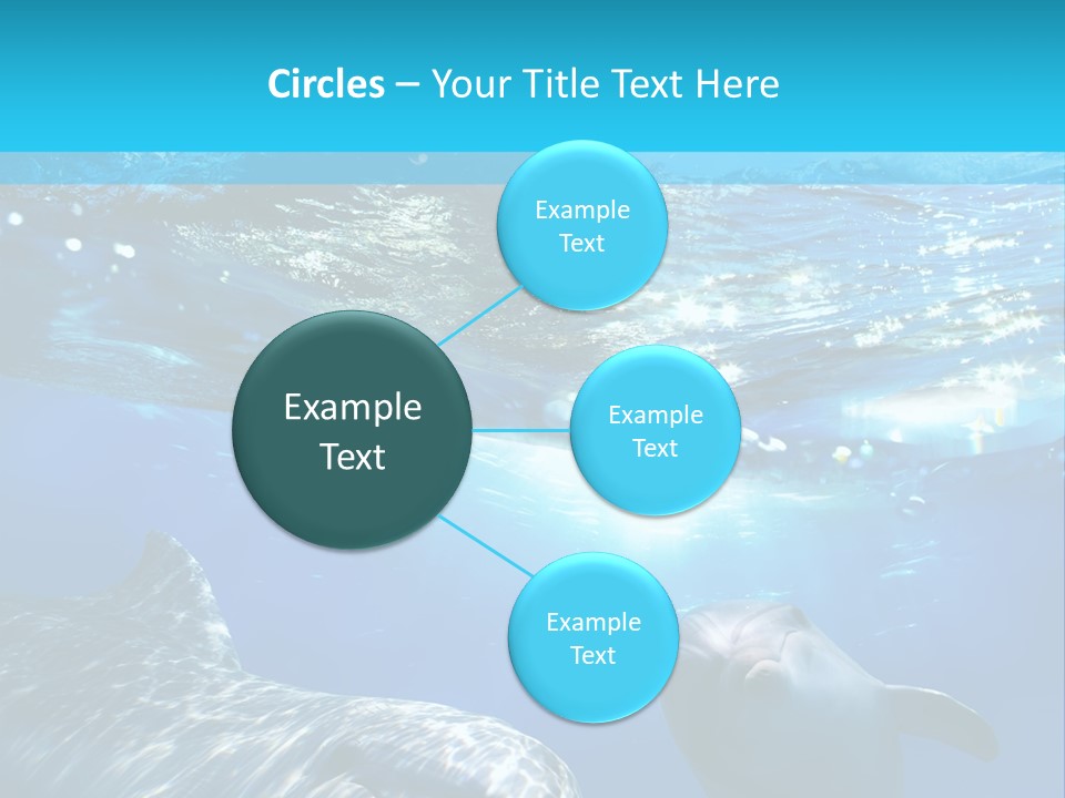 Sunshine Aquatic Blue PowerPoint Template