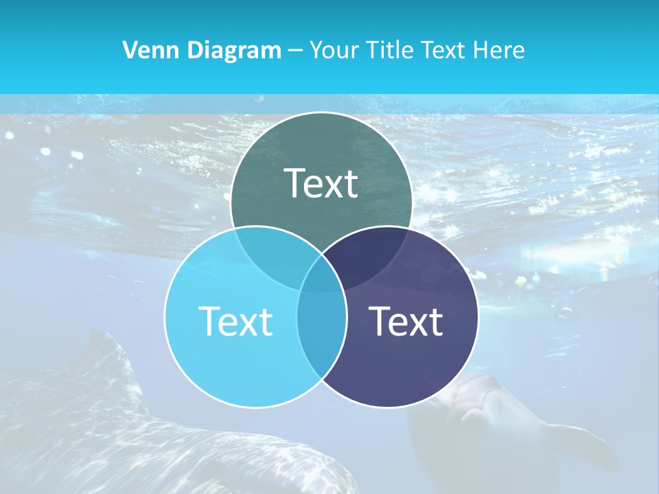 Sunshine Aquatic Blue PowerPoint Template