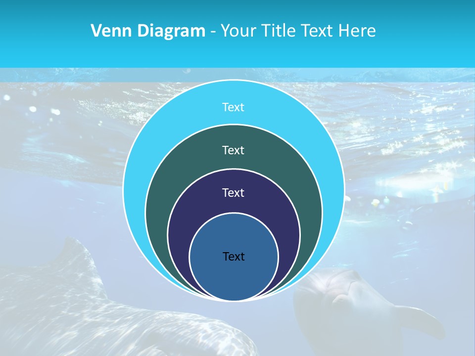 Sunshine Aquatic Blue PowerPoint Template