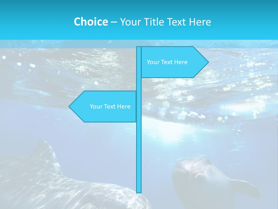 Sunshine Aquatic Blue PowerPoint Template
