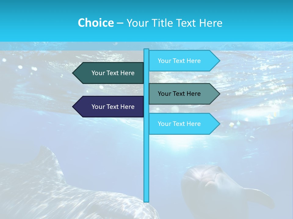 Sunshine Aquatic Blue PowerPoint Template