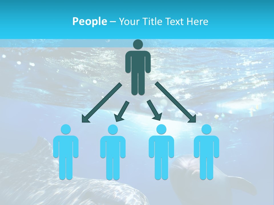 Sunshine Aquatic Blue PowerPoint Template