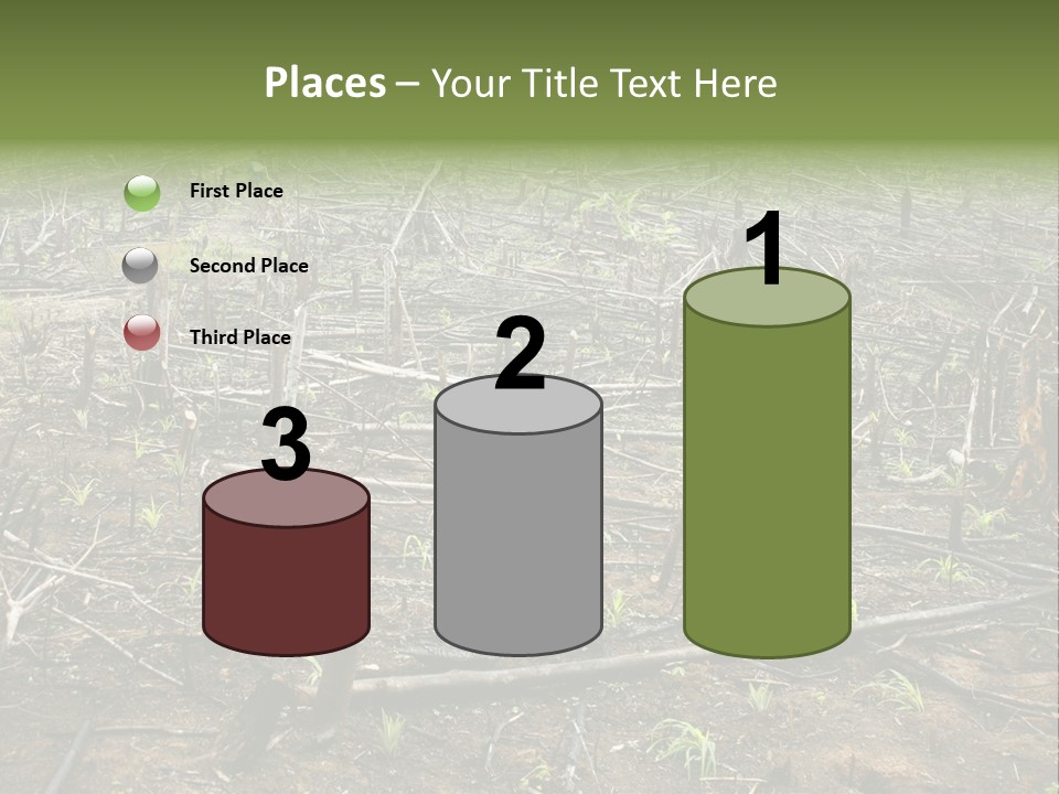 Corn Amazon Farm PowerPoint Template
