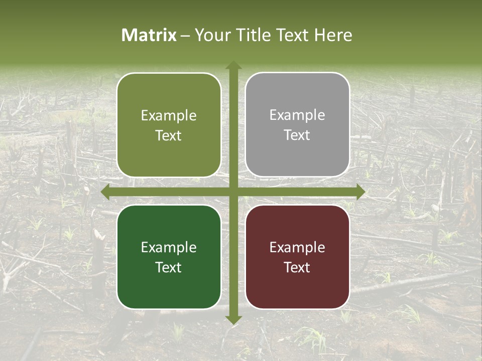 Corn Amazon Farm PowerPoint Template