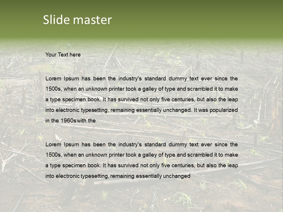Corn Amazon Farm PowerPoint Template