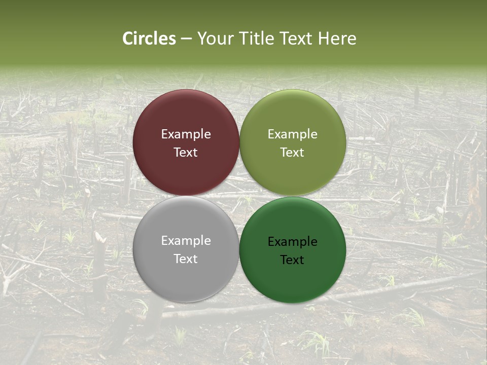 Corn Amazon Farm PowerPoint Template