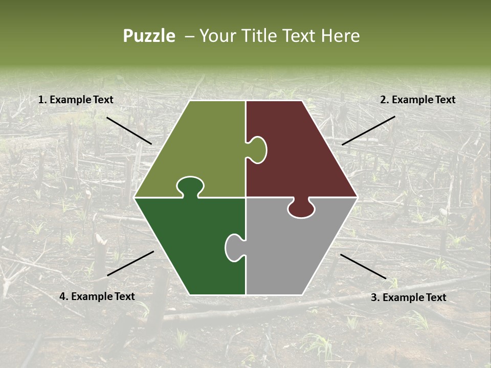 Corn Amazon Farm PowerPoint Template