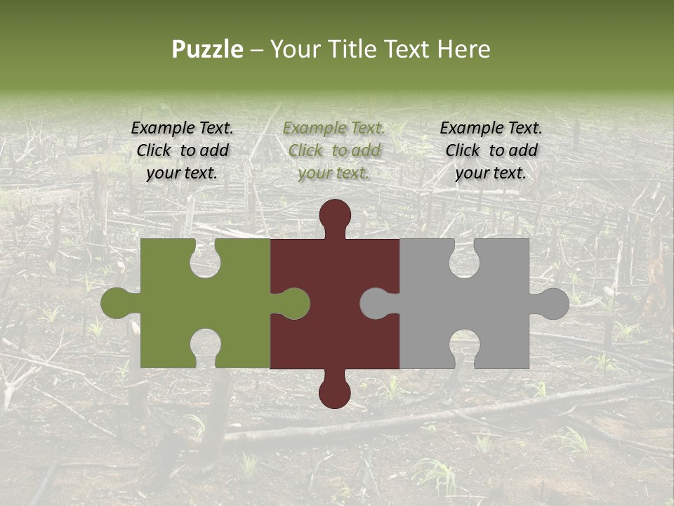 Corn Amazon Farm PowerPoint Template