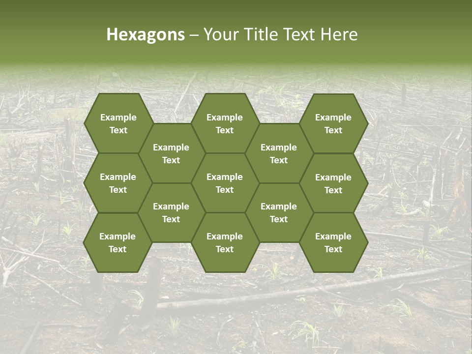 Corn Amazon Farm PowerPoint Template