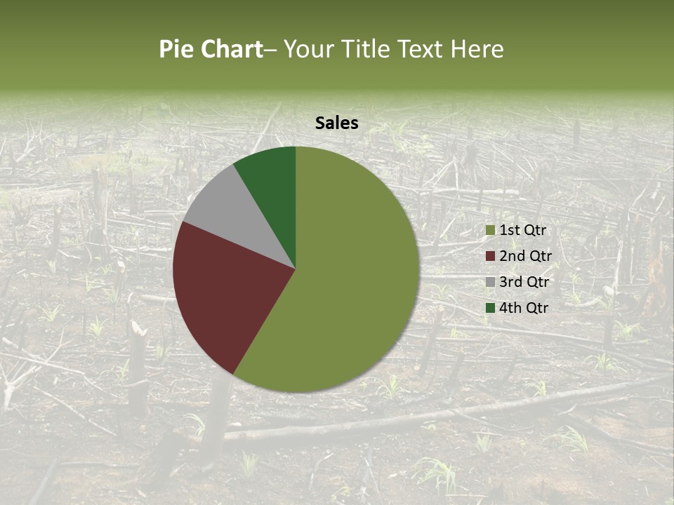 Corn Amazon Farm PowerPoint Template