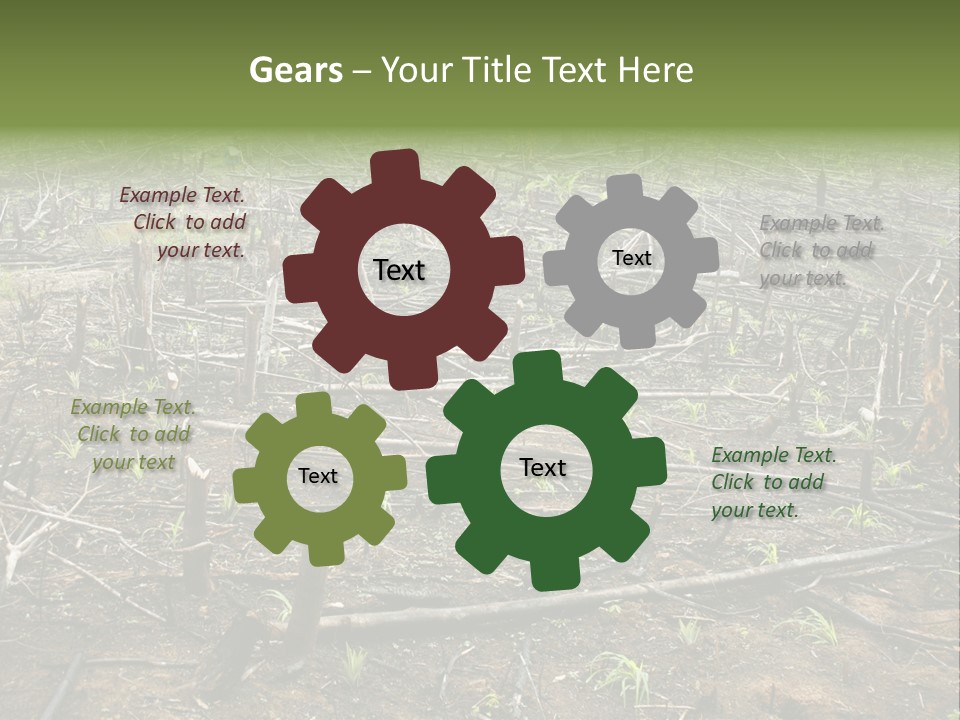 Corn Amazon Farm PowerPoint Template