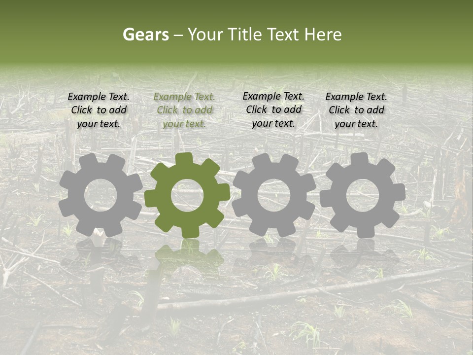 Corn Amazon Farm PowerPoint Template