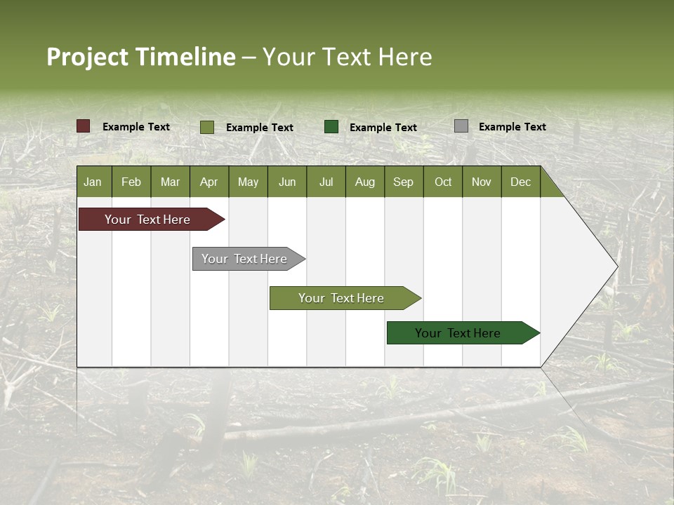 Corn Amazon Farm PowerPoint Template