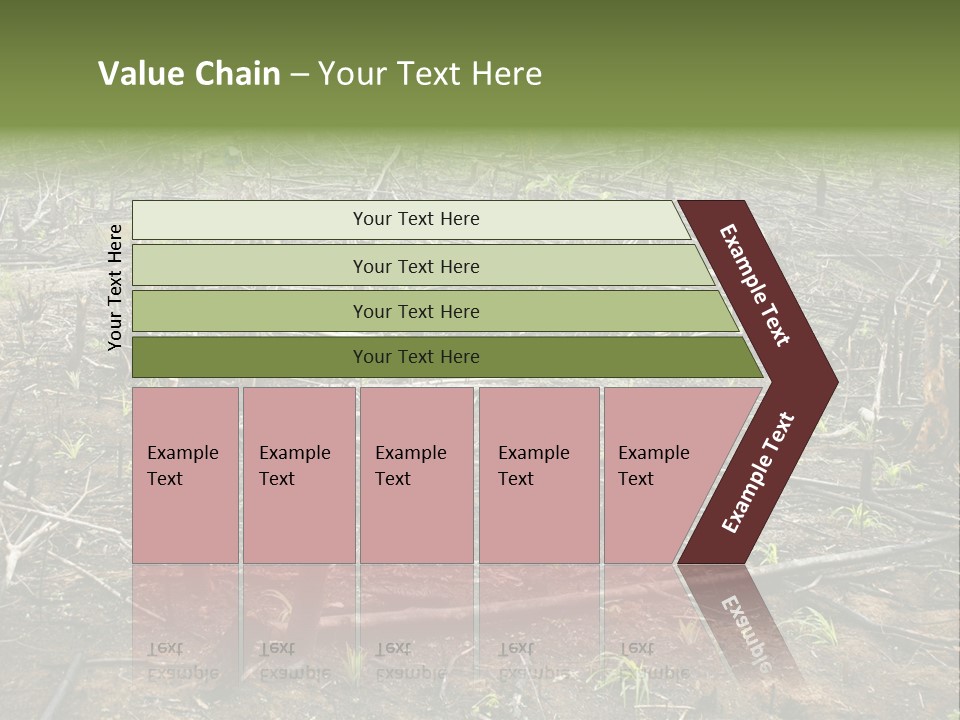 Corn Amazon Farm PowerPoint Template