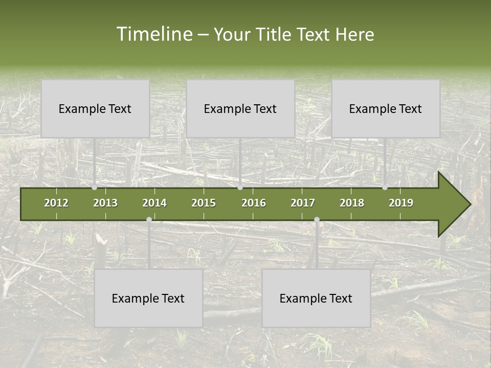 Corn Amazon Farm PowerPoint Template
