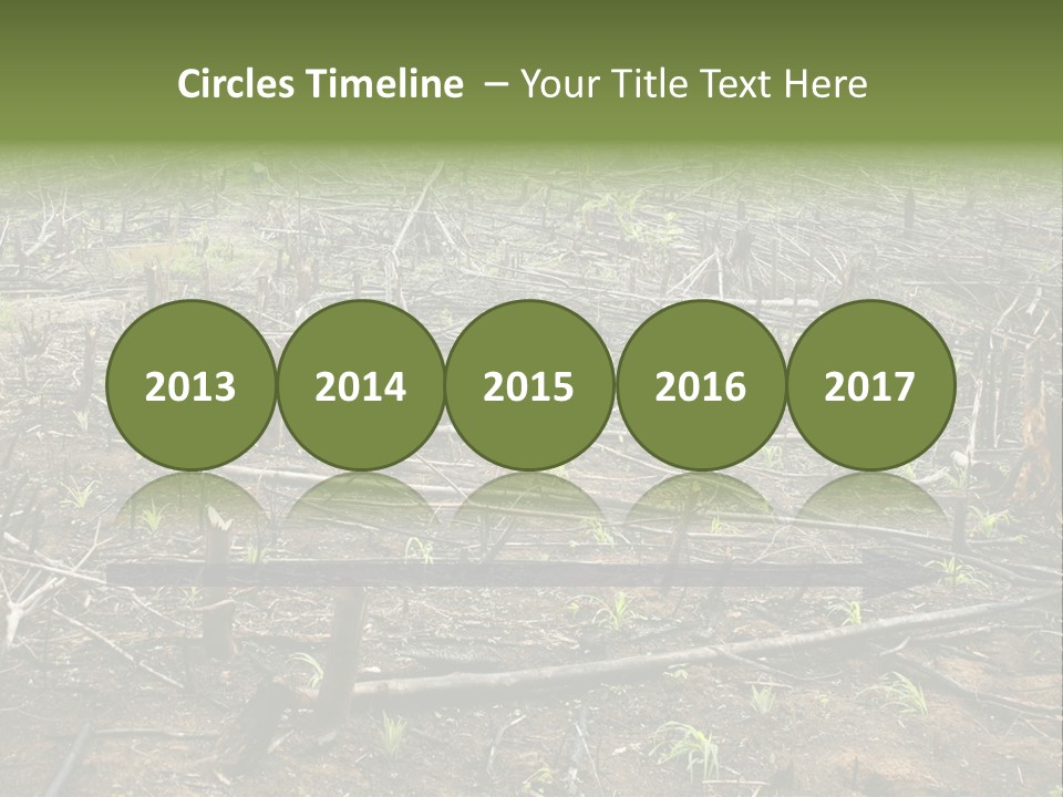 Corn Amazon Farm PowerPoint Template