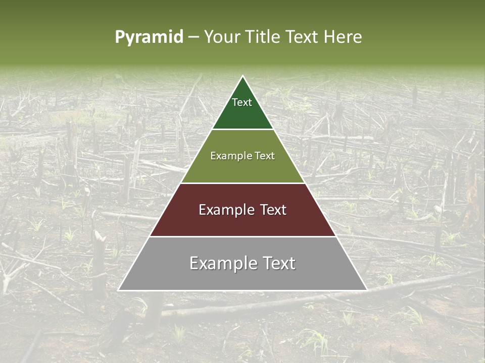 Corn Amazon Farm PowerPoint Template