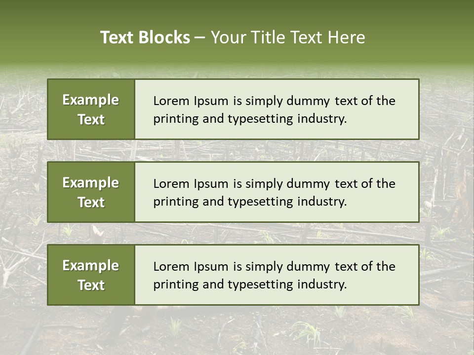 Corn Amazon Farm PowerPoint Template
