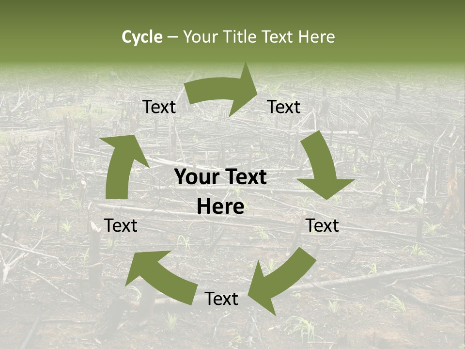 Corn Amazon Farm PowerPoint Template