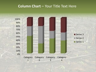 Corn Amazon Farm PowerPoint Template