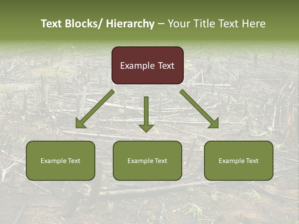Corn Amazon Farm PowerPoint Template