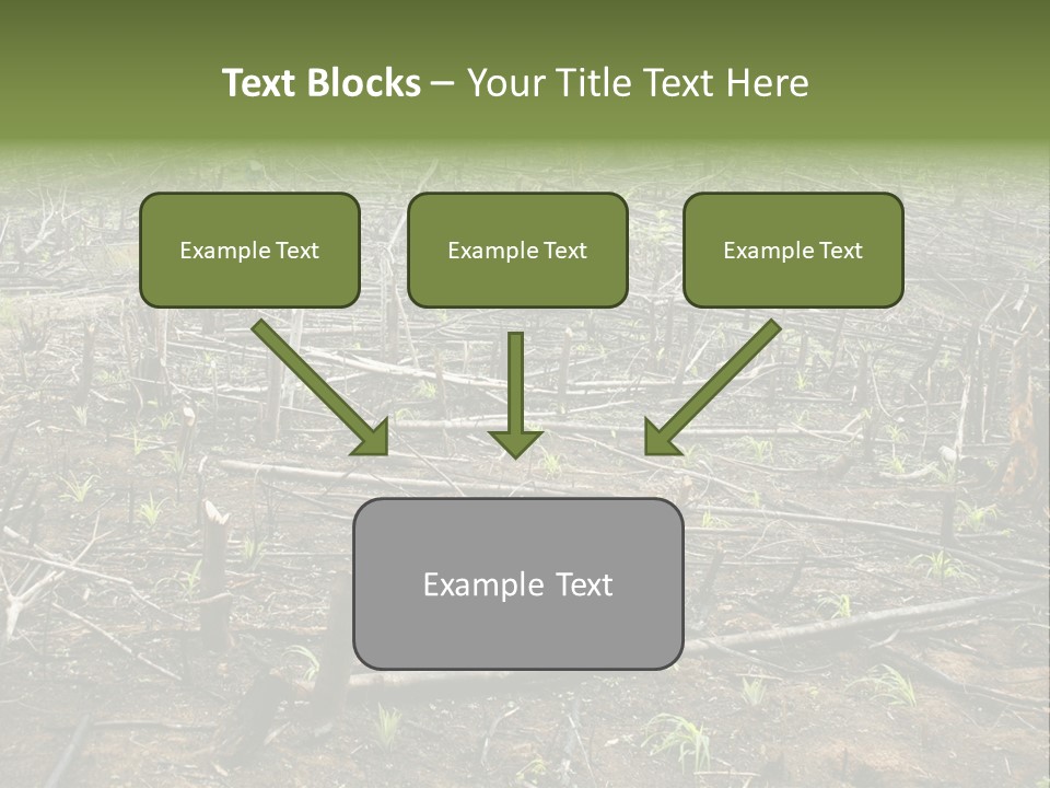 Corn Amazon Farm PowerPoint Template