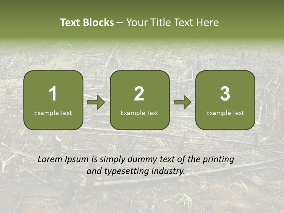 Corn Amazon Farm PowerPoint Template