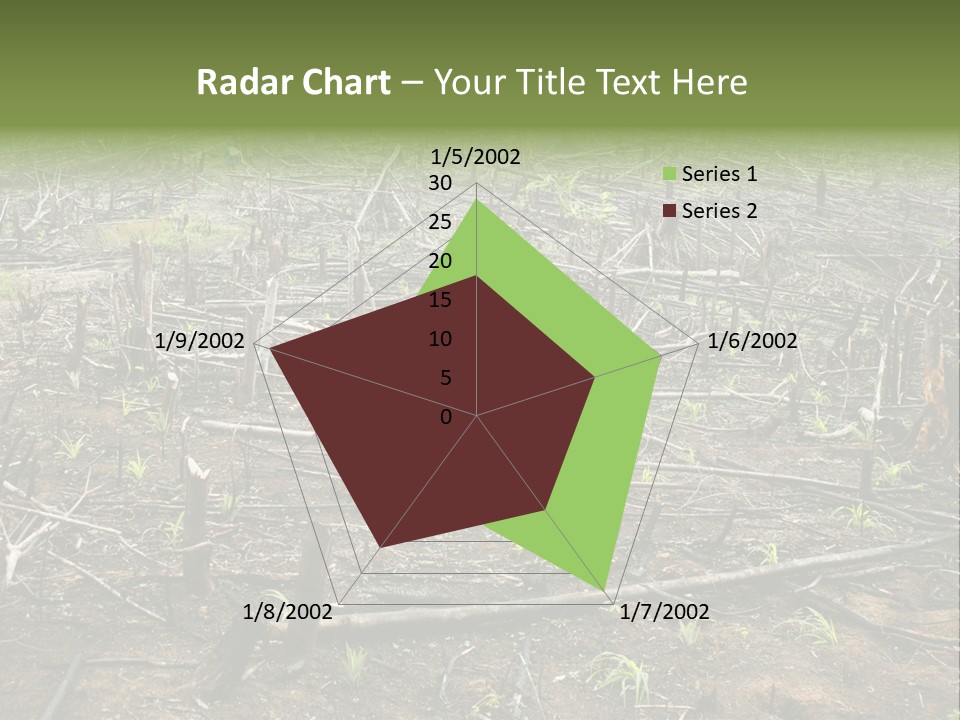 Corn Amazon Farm PowerPoint Template