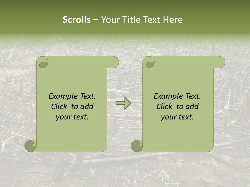 Corn Amazon Farm PowerPoint Template