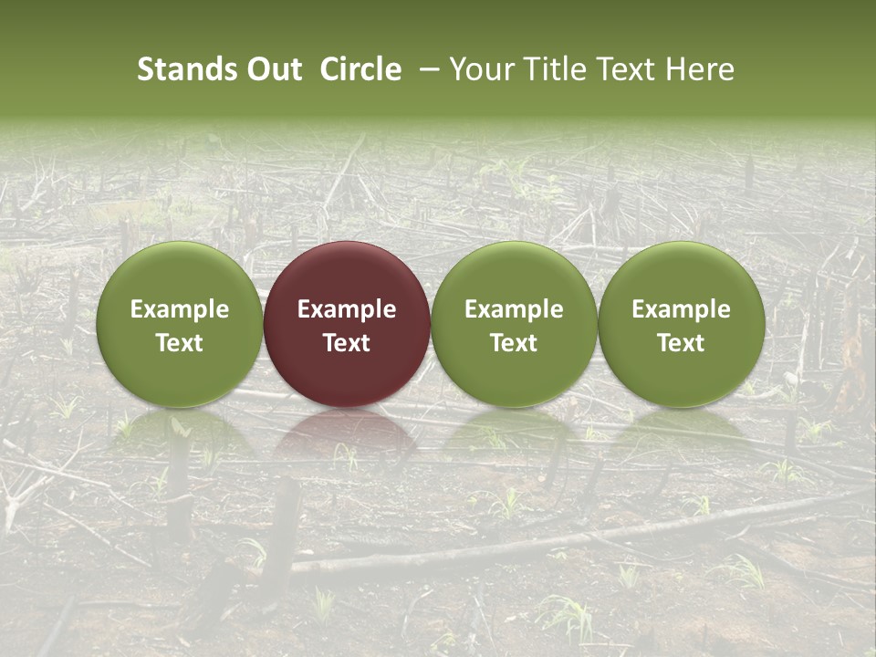 Corn Amazon Farm PowerPoint Template