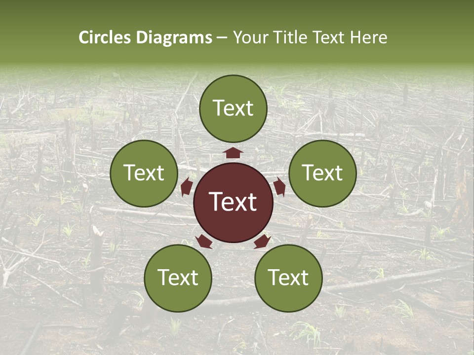 Corn Amazon Farm PowerPoint Template