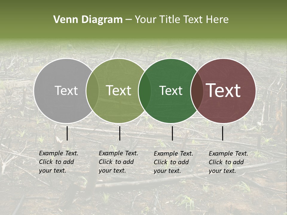 Corn Amazon Farm PowerPoint Template