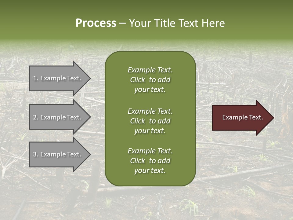 Corn Amazon Farm PowerPoint Template