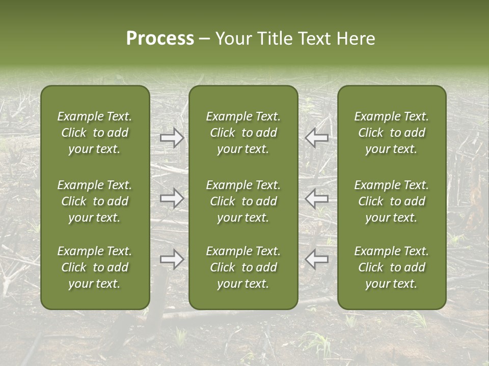 Corn Amazon Farm PowerPoint Template