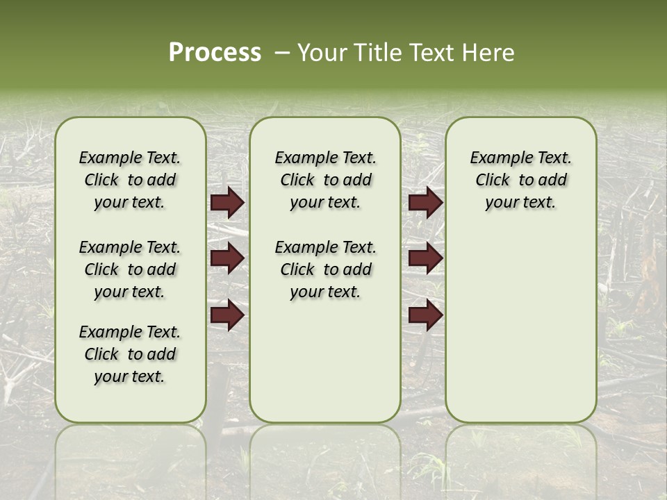 Corn Amazon Farm PowerPoint Template