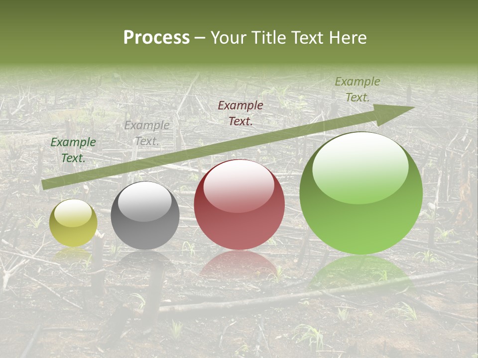 Corn Amazon Farm PowerPoint Template