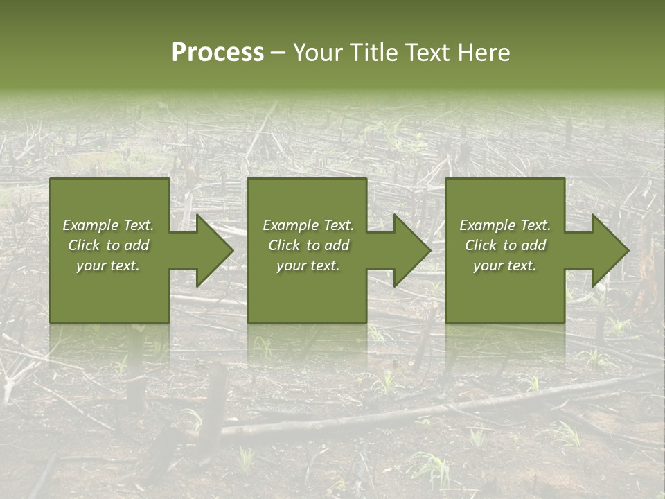 Corn Amazon Farm PowerPoint Template