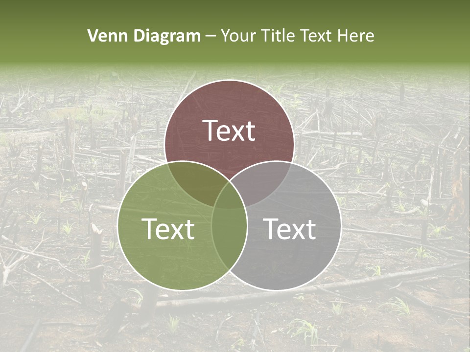 Corn Amazon Farm PowerPoint Template