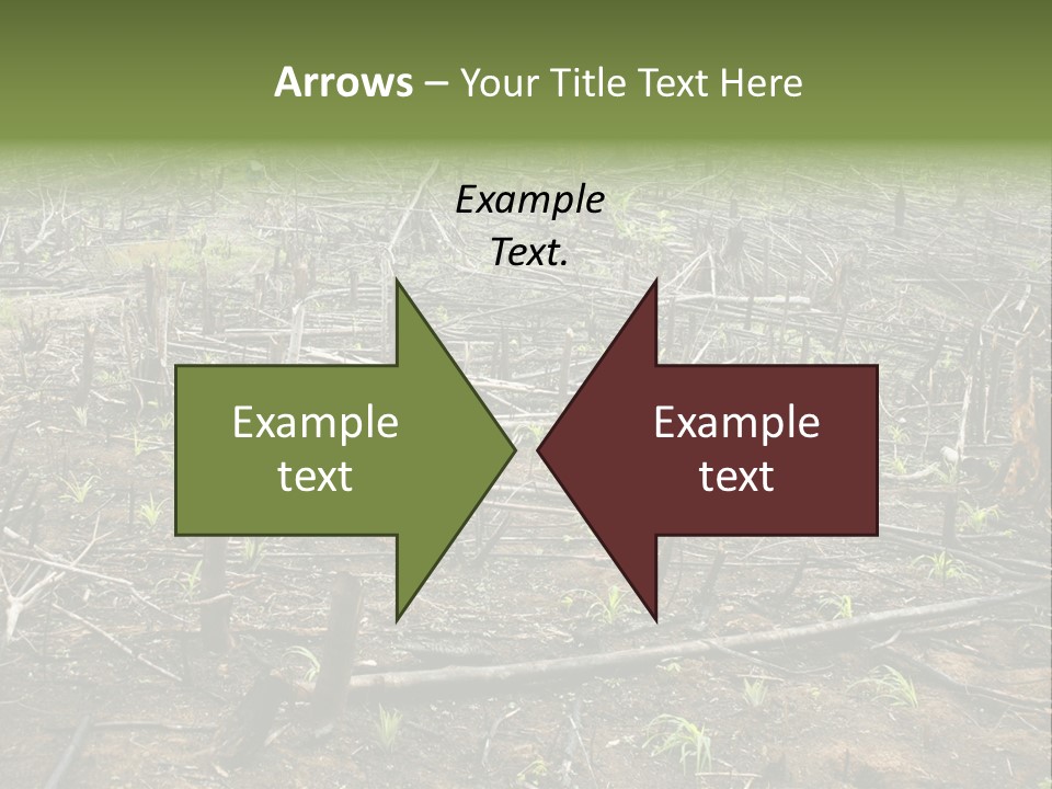 Corn Amazon Farm PowerPoint Template