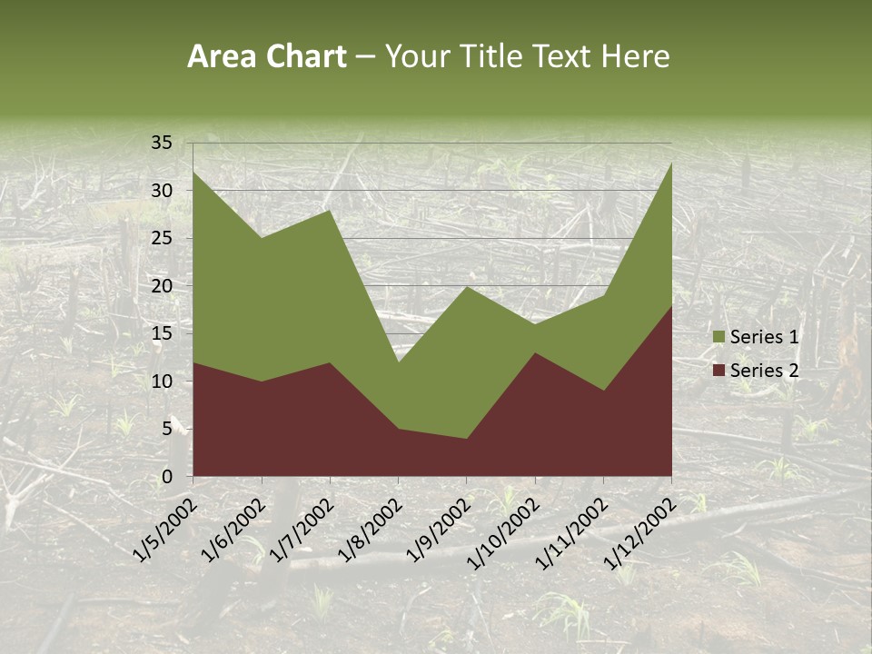 Corn Amazon Farm PowerPoint Template