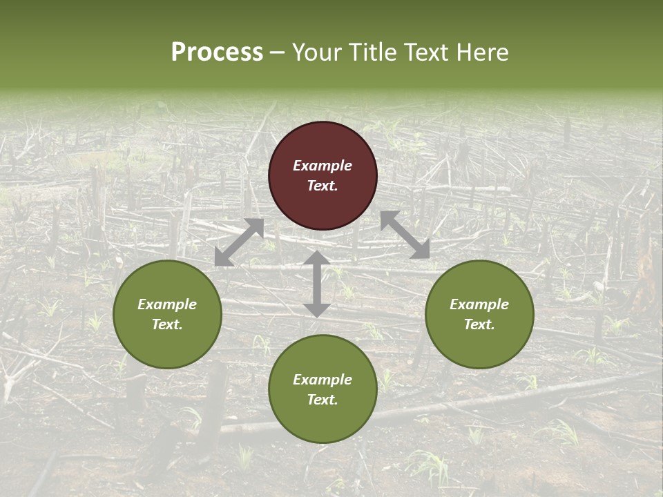 Corn Amazon Farm PowerPoint Template