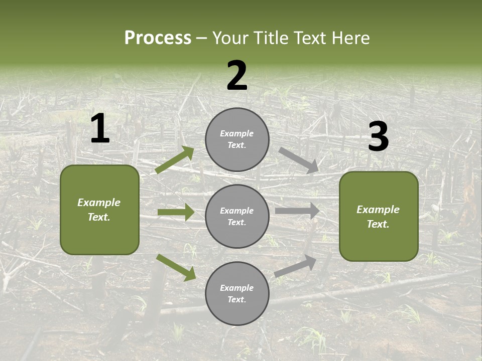 Corn Amazon Farm PowerPoint Template