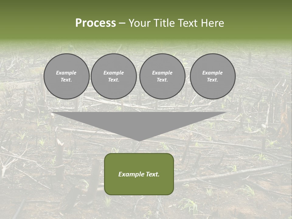 Corn Amazon Farm PowerPoint Template