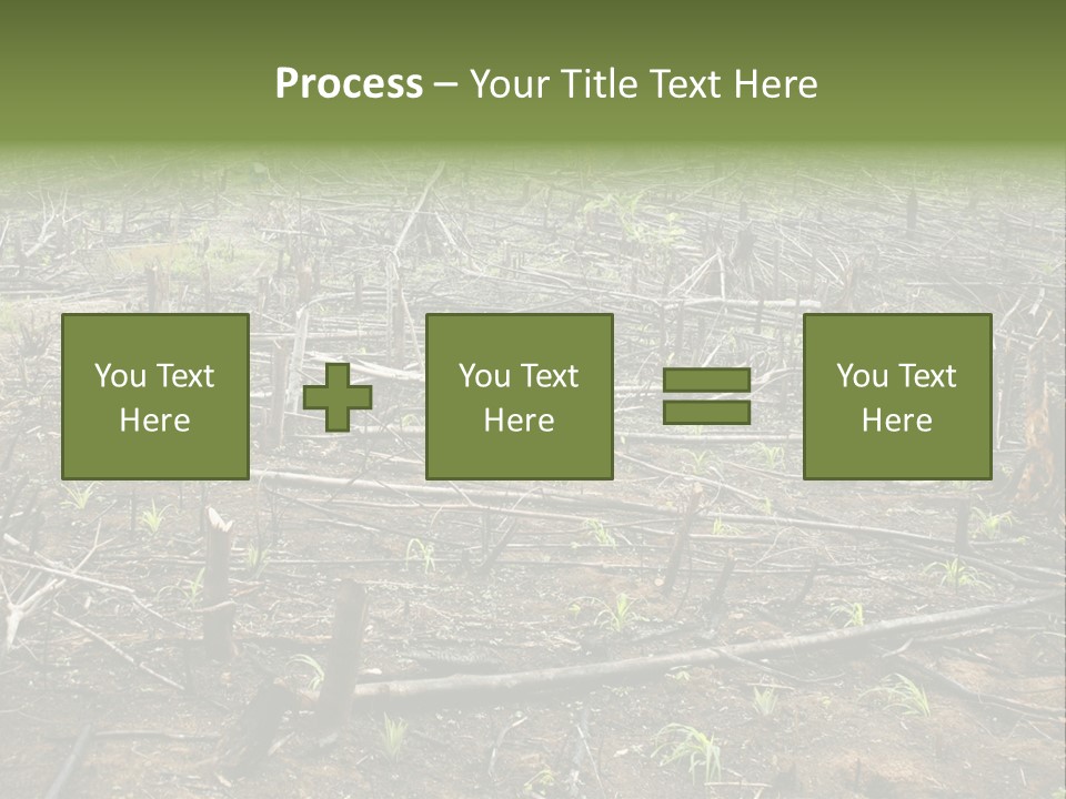 Corn Amazon Farm PowerPoint Template
