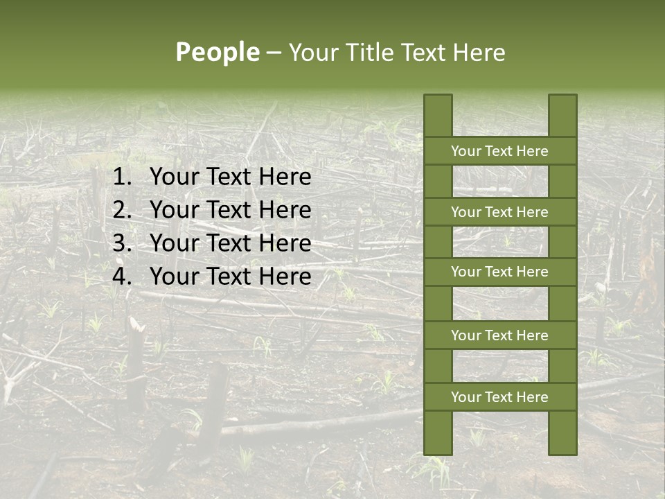 Corn Amazon Farm PowerPoint Template